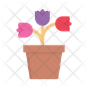 پیش‌نمایش فایل flower-pot-3358026 از پک طبیعت