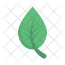 پیش‌نمایش فایل leaf-3358014 از پک طبیعت