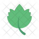 پیش‌نمایش فایل leaf-3358015 از پک طبیعت