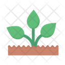 پیش‌نمایش فایل plant-3358022 از پک طبیعت