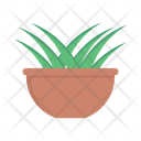 پیش‌نمایش فایل plant-pot-3358037 از پک طبیعت