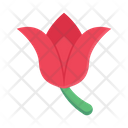 پیش‌نمایش فایل rose-3358028 از پک طبیعت