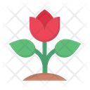 پیش‌نمایش فایل rose-3358029 از پک طبیعت
