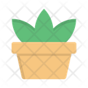 پیش‌نمایش فایل plant-pot-3357765 از پک داخلی