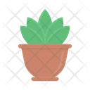 پیش‌نمایش فایل plant-pot-3358238 از پک رستوران
