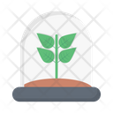 پیش‌نمایش فایل plant-3358344 از پک فضا و ستاره‌شناسی