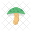 پیش‌نمایش فایل mushroom-3356461 از پک زیست‌شناسی