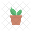 پیش‌نمایش فایل plant-pot-3356468 از پک زیست‌شناسی