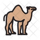 پیش‌نمایش فایل camel-3340879 از پک اسلام و معارف