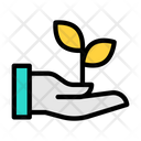 آیکن