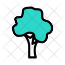 پیش‌نمایش فایل tree-3299050 از پک درخت