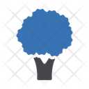 پیش‌نمایش فایل tree-3298833 از پک درخت
