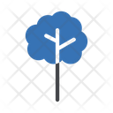 پیش‌نمایش فایل tree-3298839 از پک درخت