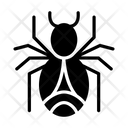پیش‌نمایش فایل cobweb-3337942 از پک حیوانات