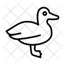 پیش‌نمایش فایل duck-3337983 از پک حیوانات