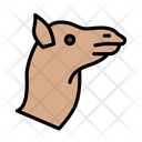 پیش‌نمایش فایل camel-3338069 از پک حیوانات