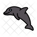 پیش‌نمایش فایل dolphin-3338052 از پک حیوانات