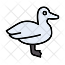 پیش‌نمایش فایل duck-3338049 از پک حیوانات
