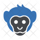 پیش‌نمایش فایل monkey-3337893 از پک حیوانات