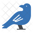 پیش‌نمایش فایل sparrow-3337903 از پک حیوانات