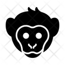 پیش‌نمایش فایل monkey-3337952 از پک حیوانات