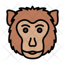 پیش‌نمایش فایل gorilla-3338089 از پک حیوانات