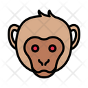 پیش‌نمایش فایل monkey-3338071 از پک حیوانات