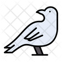 پیش‌نمایش فایل sparrow-3338081 از پک حیوانات