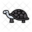 پیش‌نمایش فایل turtle-3338085 از پک حیوانات