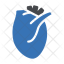 پیش‌نمایش فایل heart-3337638 از پک کالبدشناسی