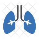 پیش‌نمایش فایل lungs-3337614 از پک کالبدشناسی