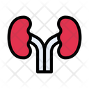 پیش‌نمایش فایل kidney-3337840 از پک کالبدشناسی