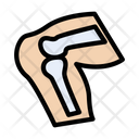 پیش‌نمایش فایل knee-3337841 از پک کالبدشناسی