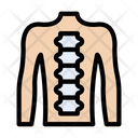 پیش‌نمایش فایل backbone-3337808 از پک کالبدشناسی