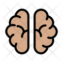 پیش‌نمایش فایل brain-3337791 از پک کالبدشناسی