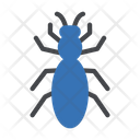 پیش‌نمایش فایل insect-4272654 از پک حشرات