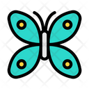 پیش‌نمایش فایل butterfly-4273194 از پک حشرات