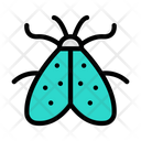 پیش‌نمایش فایل butterfly-4273221 از پک حشرات