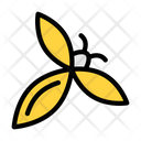 پیش‌نمایش فایل butterfly-4273236 از پک حشرات