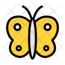 پیش‌نمایش فایل butterfly-4273237 از پک حشرات