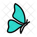 پیش‌نمایش فایل butterfly-4273238 از پک حشرات