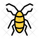 پیش‌نمایش فایل cockroach-4273241 از پک حشرات