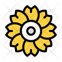 پیش‌نمایش فایل flower-4266486 از پک روز مردگان