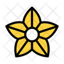 پیش‌نمایش فایل flower-4266487 از پک روز مردگان