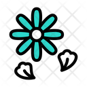پیش‌نمایش فایل flower-4266490 از پک روز مردگان