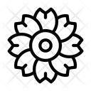 پیش‌نمایش فایل flower-4266527 از پک روز مردگان