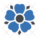 پیش‌نمایش فایل flower-4275382 از پک بریتانیا