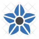 پیش‌نمایش فایل flower-4265484 از پک روز مردگان