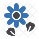 پیش‌نمایش فایل flower-4265487 از پک روز مردگان