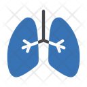 پیش‌نمایش فایل lungs-4271472 از پک تناسب اندام